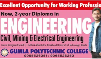 Diploma for Working Professionals